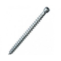 Vis d'ancrage pour béton Empreinte torx / 6 lobes internes Zingué