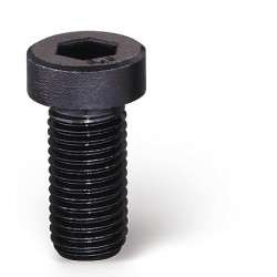 Vis tête cylindrique 8.8 brut tête basse ISO 14580