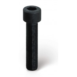 Vis à tête cylindrique 6 pans creux - 12.9 brut Filetage total