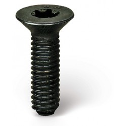 Vis à tête fraisée à six pans creux / torx 8.8 brut