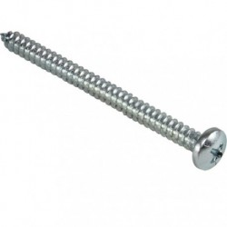 Vis tole à tête cylindrique Empreinte Philips - zingué